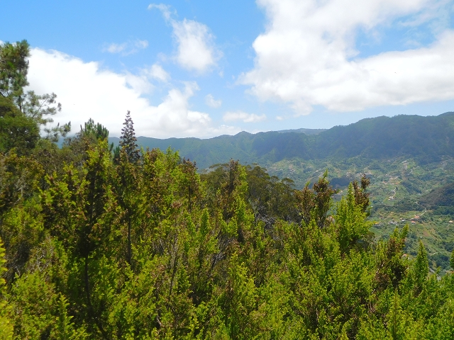 26 de julho de 2015 Penha de Aguia — A subida — foto 18