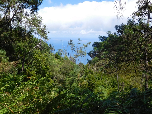 26 de julho de 2015 Penha de Aguia — A descida — foto 13