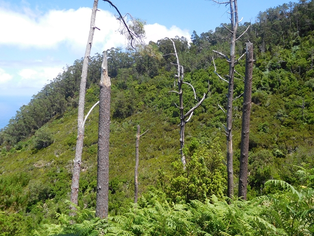 26 de julho de 2015 Penha de Aguia — A descida — foto 14