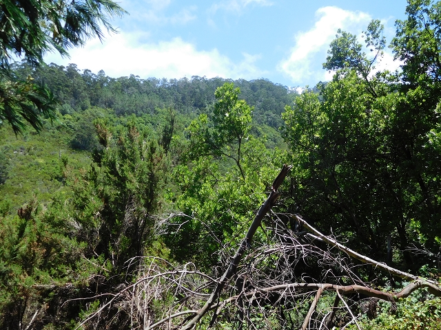 26 de julho de 2015 Penha de Aguia — A descida — foto 16