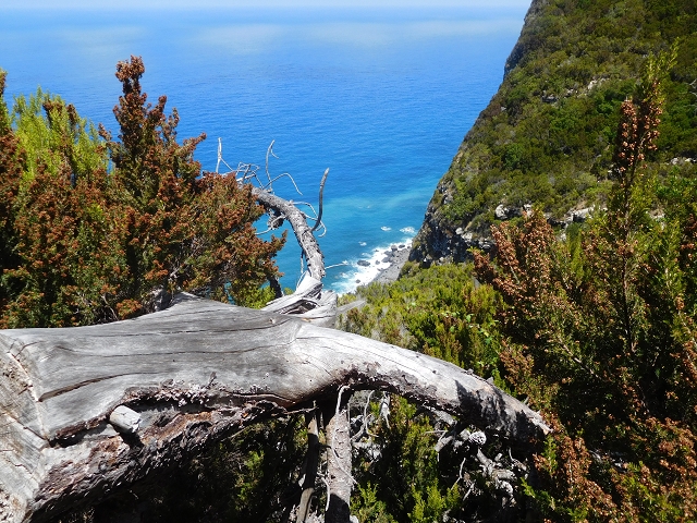 26 de julho de 2015 Penha de Aguia — A descida — foto 18