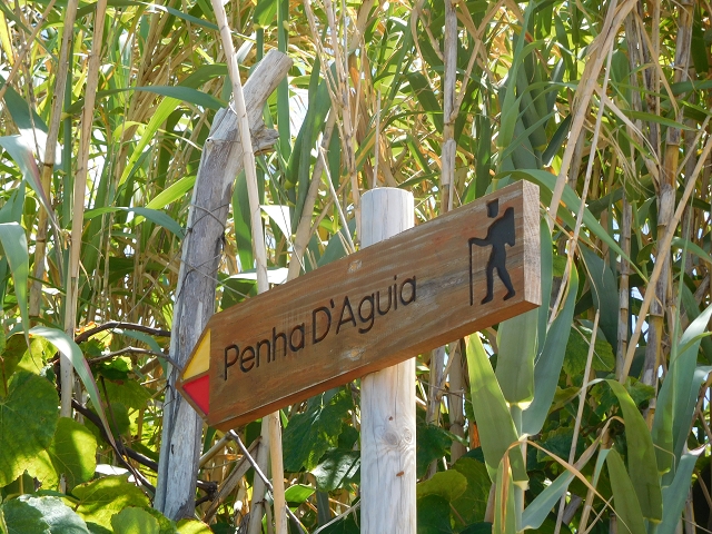 26 de julho de 2015 Penha de Aguia — A descida — foto 21
