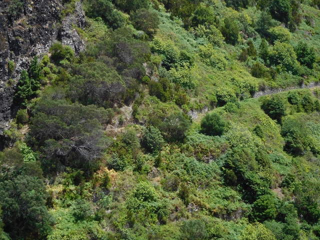26 de julho de 2015 Penha de Aguia — O regresso — foto 6