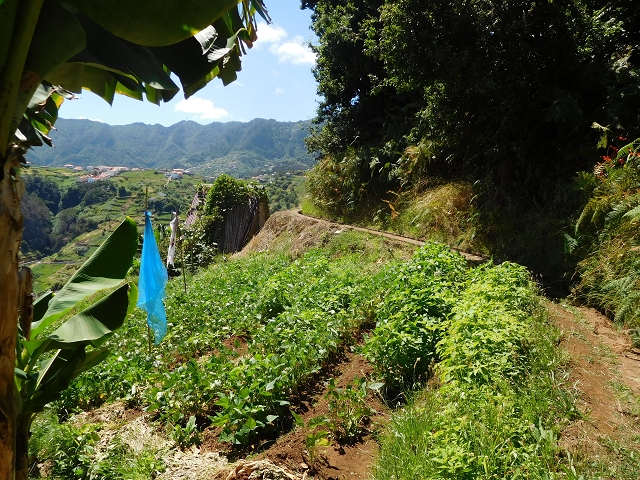 26 de julho de 2015 Penha de Aguia — A entrada — foto 3