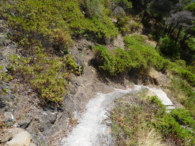 26 de julho de 2015 Penha de Aguia — O regresso — foto 10