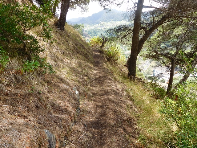 26 de julho de 2015 Penha de Aguia — O regresso — foto 12
