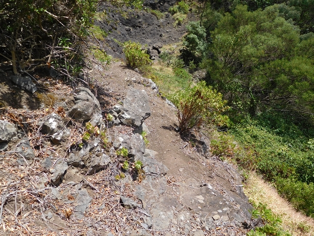 26 de julho de 2015 Penha de Aguia — O regresso — foto 15