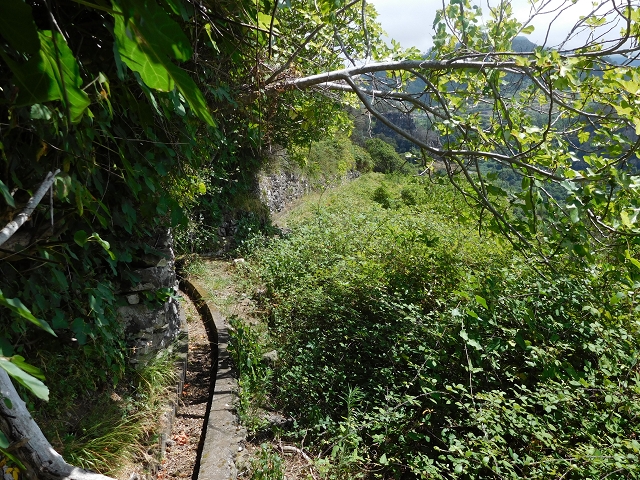 26 de julho de 2015 Penha de Aguia — O regresso — foto 24