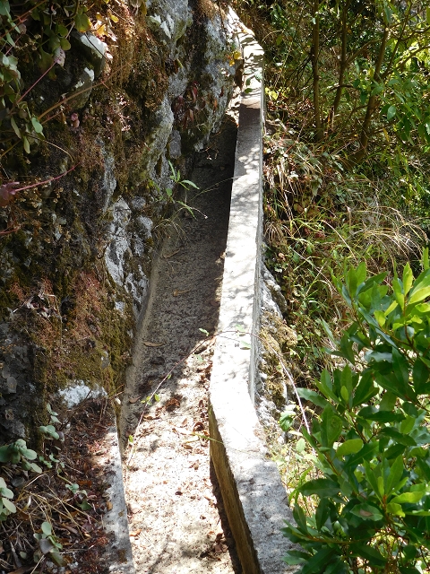 26 de julho de 2015 Penha de Aguia — O regresso — foto 28