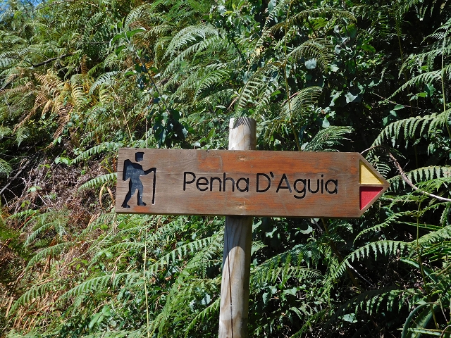 26 de julho de 2015 Penha de Aguia — A entrada — foto 5