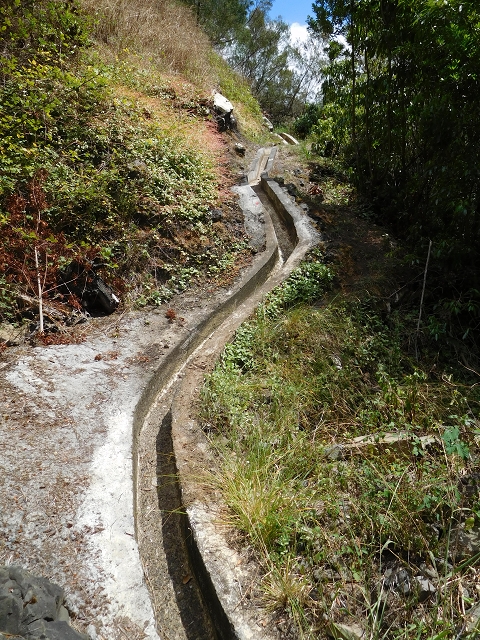 26 de julho de 2015 Penha de Aguia — O regresso — foto 35