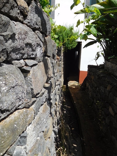 26 de julho de 2015 Penha de Aguia — O regresso — foto 38