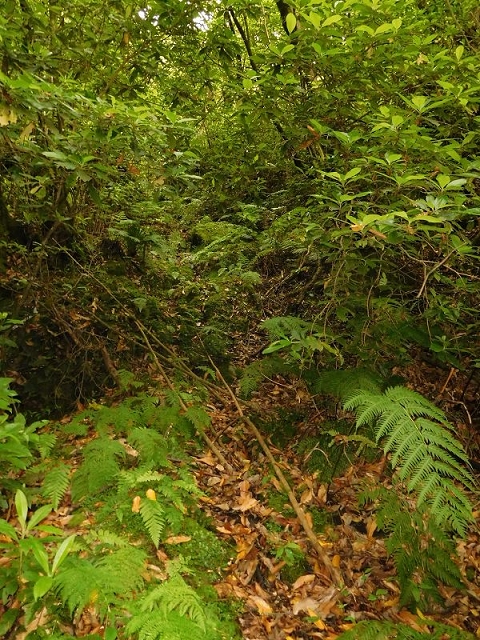 27.06.2016 Poco das Pulgas — Erfolglose Suche nach dem richtigen Weg — Foto 13