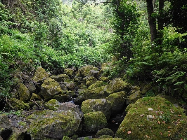 27.06.2016 Poco das Pulgas — Erfolglose Suche nach dem richtigen Weg — Foto 15