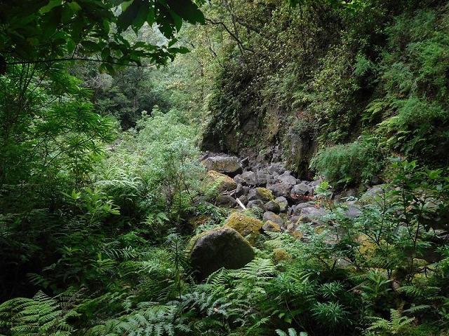 27.06.2016 Poco das Pulgas — Erfolglose Suche nach dem richtigen Weg — Foto 17