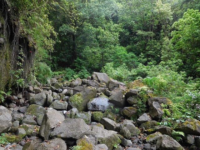 27.06.2016 Poco das Pulgas — Erfolglose Suche nach dem richtigen Weg — Foto 18