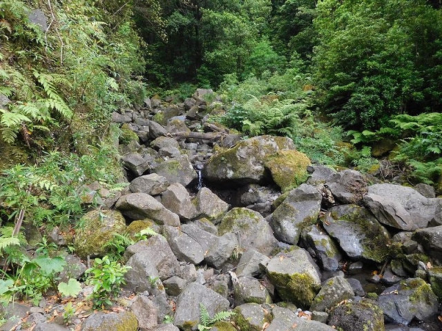 27.06.2016 Poco das Pulgas — Erfolglose Suche nach dem richtigen Weg — Foto 19