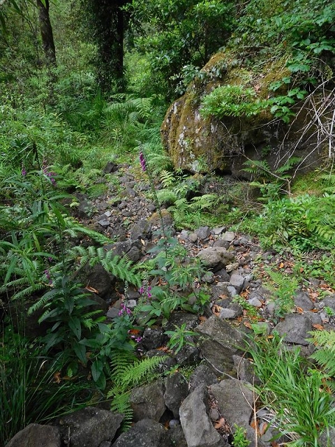 27.06.2016 Poco das Pulgas — Erfolglose Suche nach dem richtigen Weg — Foto 20