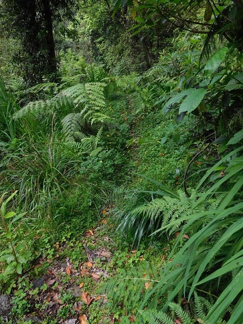 27.06.2016 Poco das Pulgas — Erfolglose Suche nach dem richtigen Weg — Foto 21