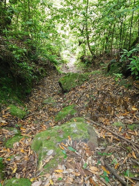 27.06.2016 Poco das Pulgas — Erfolglose Suche nach dem richtigen Weg — Foto 24