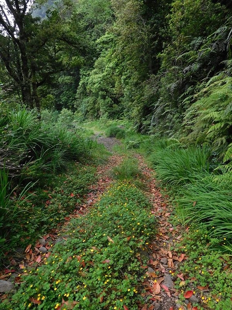 27.06.2016 Poco das Pulgas — Erfolglose Suche nach dem richtigen Weg — Foto 26