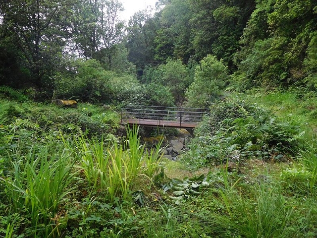 27.06.2016 Poco das Pulgas — Erfolglose Suche nach dem richtigen Weg — Foto 28