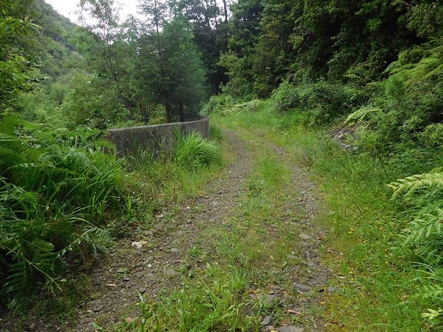 27.06.2016 Poco das Pulgas — Erfolglose Suche nach dem richtigen Weg — Foto 29