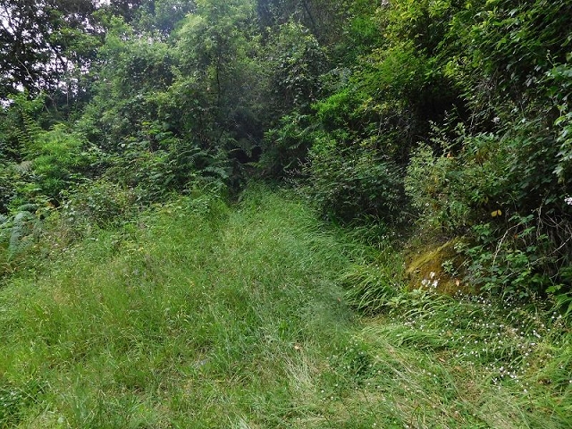 27.06.2016 Poco das Pulgas — Erfolglose Suche nach dem richtigen Weg — Foto 30