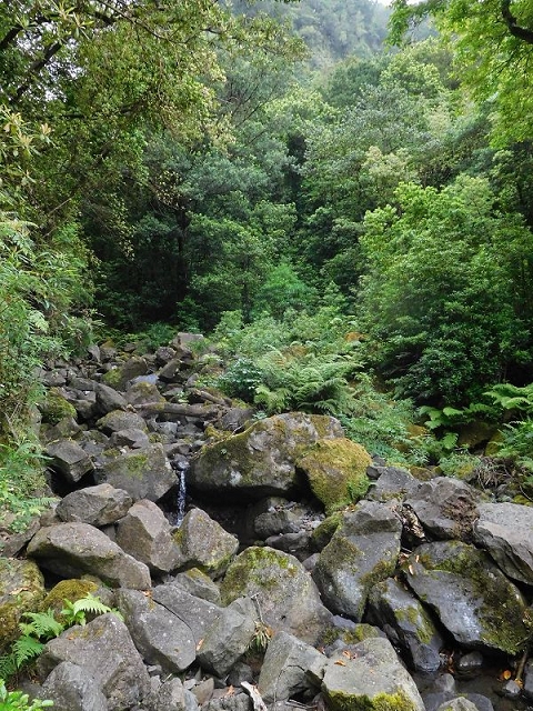 27.06.2016 Poco das Pulgas — Erfolglose Suche nach dem richtigen Weg — Foto 4