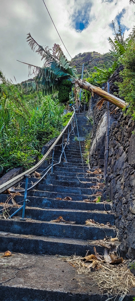 27.06.2022 Bananenwanderung rund um Madalena do Mar — Aufstieg durch die Bananen auf der Vereda dos Lombos — Foto 1