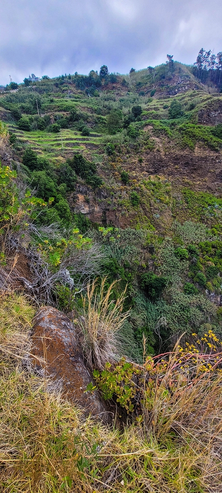 27.06.2022 Bananenwanderung rund um Madalena do Mar — Aufstieg durch die Bananen auf der Vereda dos Lombos — Foto 10