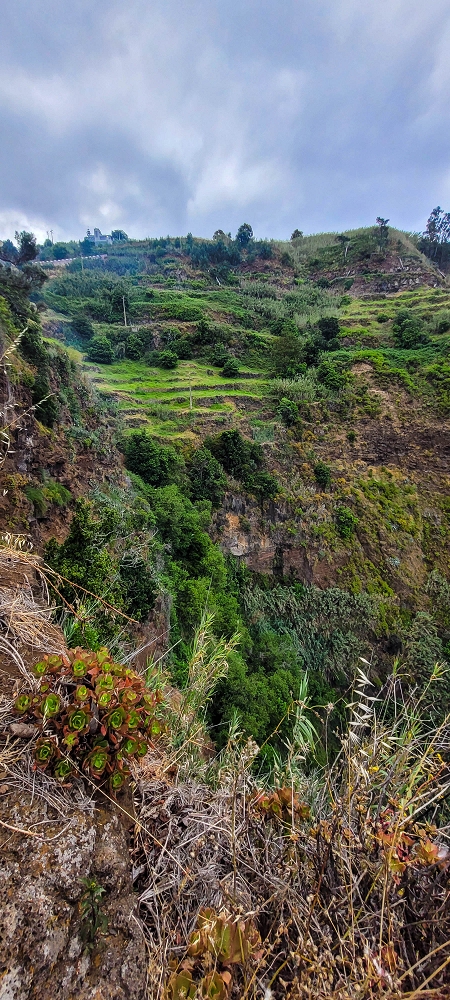 27.06.2022 Bananenwanderung rund um Madalena do Mar — Aufstieg durch die Bananen auf der Vereda dos Lombos — Foto 11