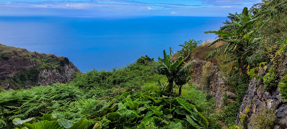 27.06.2022 Bananenwanderung rund um Madalena do Mar — Aufstieg durch die Bananen auf der Vereda dos Lombos — Foto 13