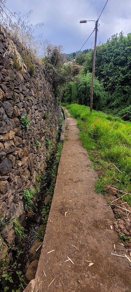 27.06.2022 Bananenwanderung rund um Madalena do Mar — Über Carvalhal e Carreira zur Levada Nova — Foto 2