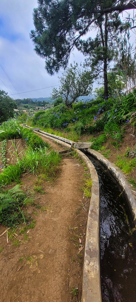 Levada Nova — Around the ER209 — photo 1