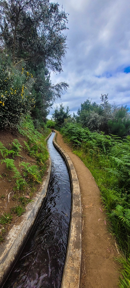 Levada Nova — Around the ER209 — photo 2