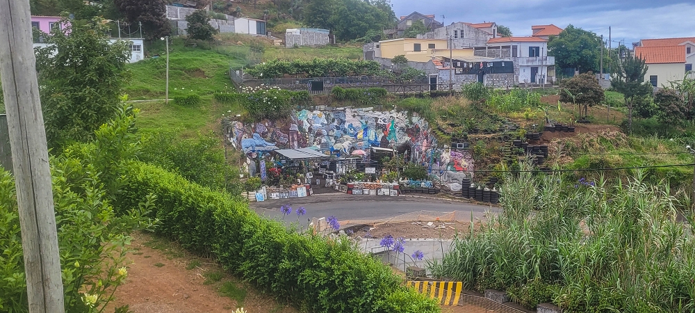 Levada Nova — Around the ER209 — photo 3