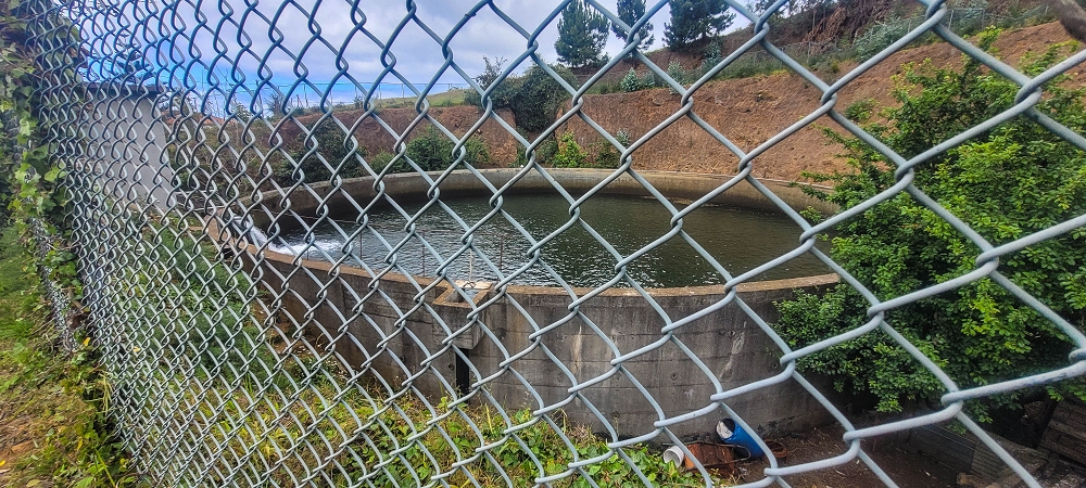 Levada Nova — Around the ER209 — photo 5