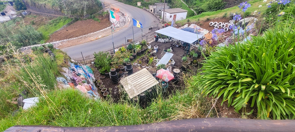 Levada Nova — Around the ER209 — photo 6