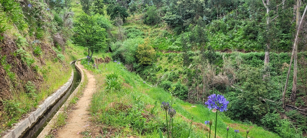 Levada Nova — First small stream crossing — photo 1