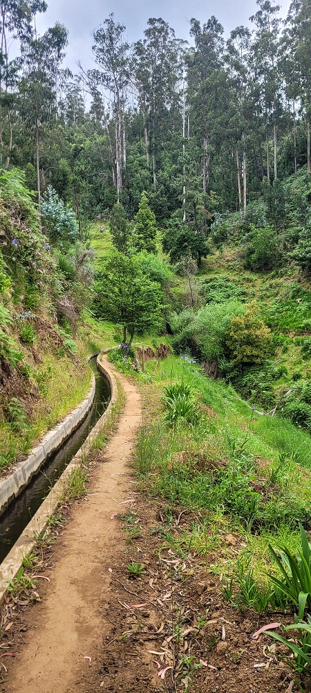 Levada Nova — First small stream crossing — photo 2