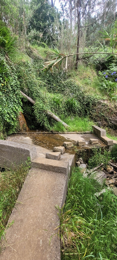 Levada Nova — First small stream crossing — photo 3