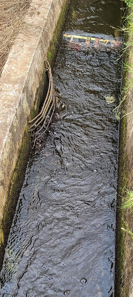 Levada Nova — First small stream crossing — photo 6