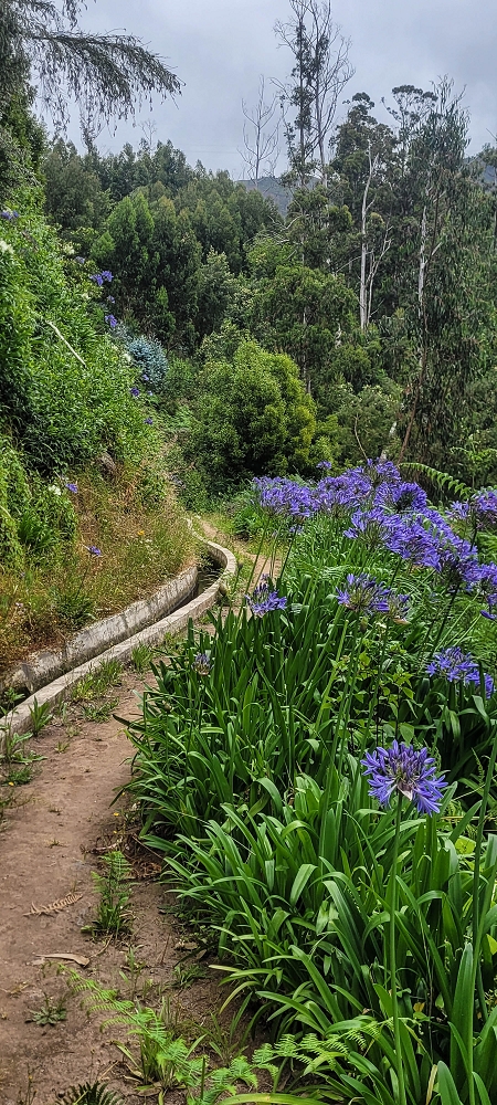 Levada Nova — On to the crossing of the Ribeira de Santiago — photo 3