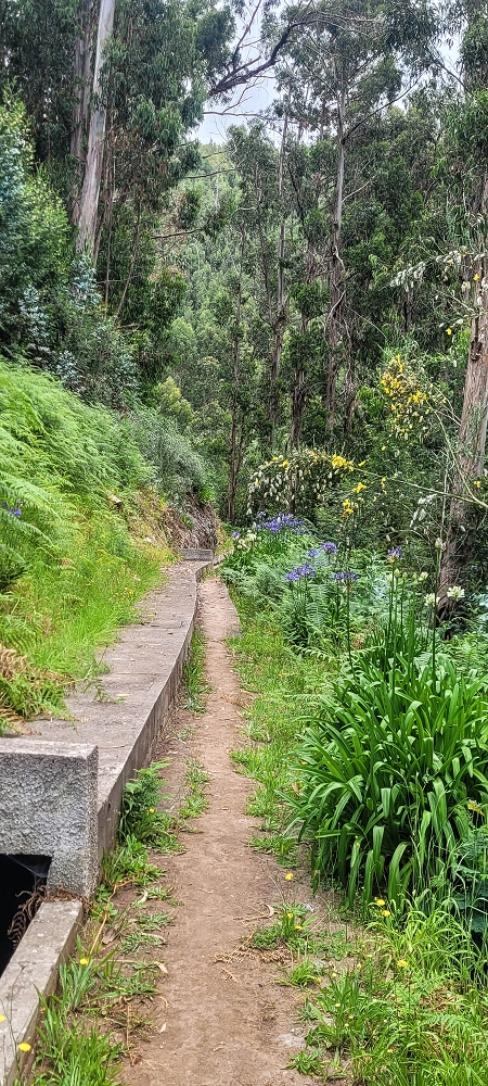 Levada Nova — On to the crossing of the Ribeira de Santiago — photo 4