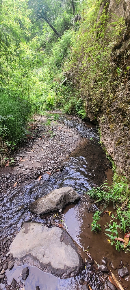 Levada Nova — On to the crossing of the Ribeira de Santiago — photo 7