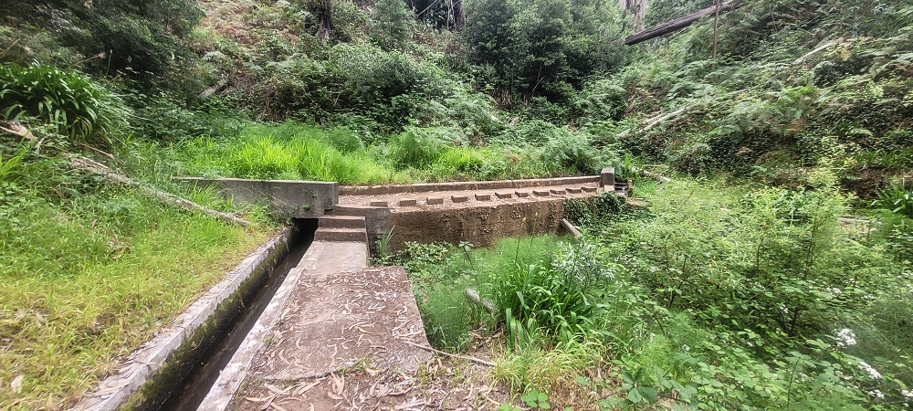 Levada Nova — Crossing of the Ribeira de São João — photo 1