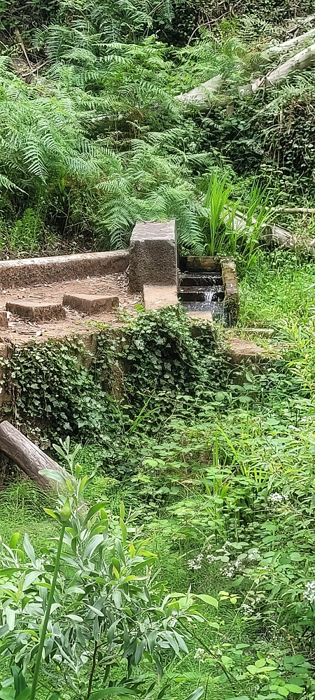 Levada Nova — Crossing of the Ribeira de São João — photo 2