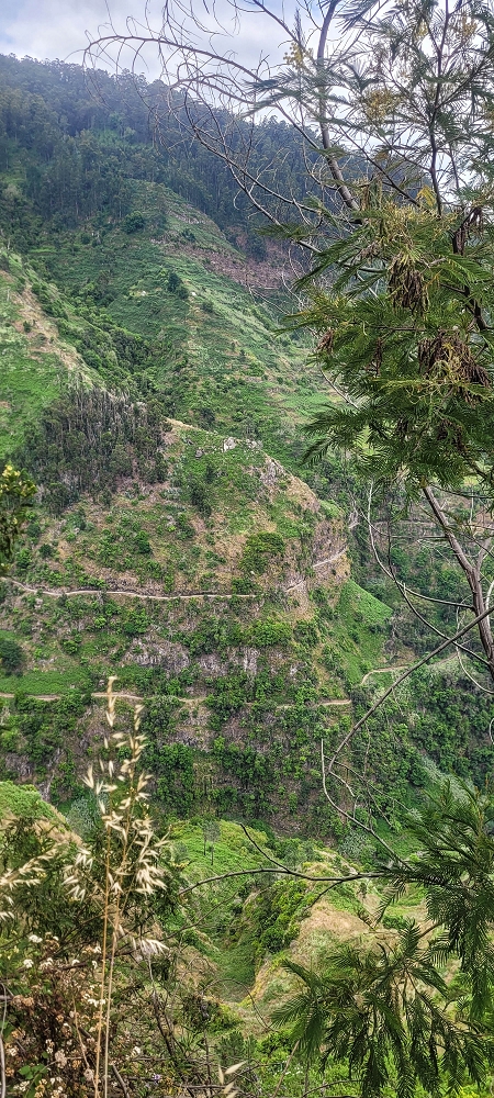 Levada Nova — From Covas to the end ('newly built section', condition in 2022) — photo 2