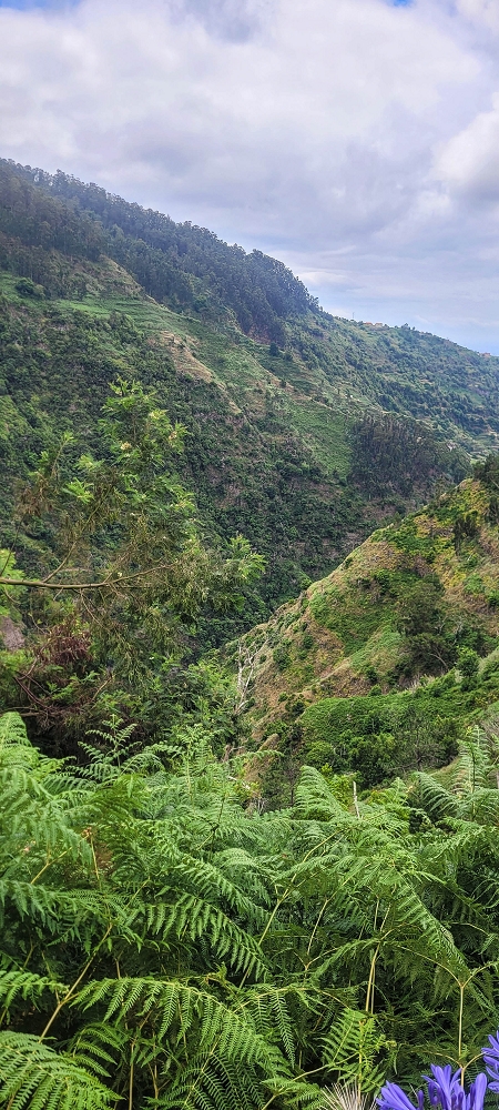 Levada Nova — From Covas to the end ('newly built section', condition in 2022) — photo 3